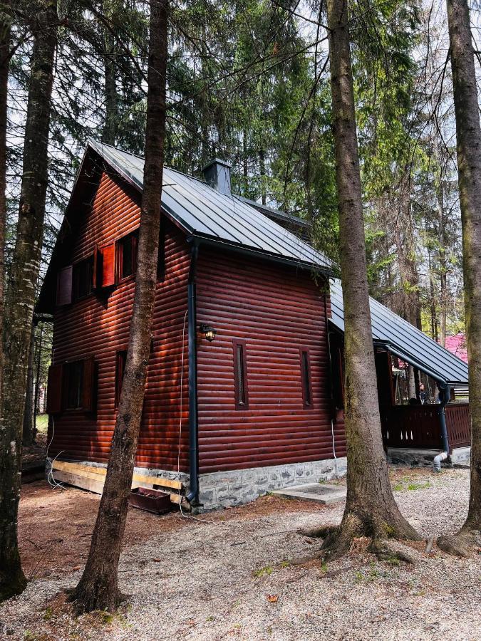 Cabana Adrienne Izvoru Muresului Exterior photo