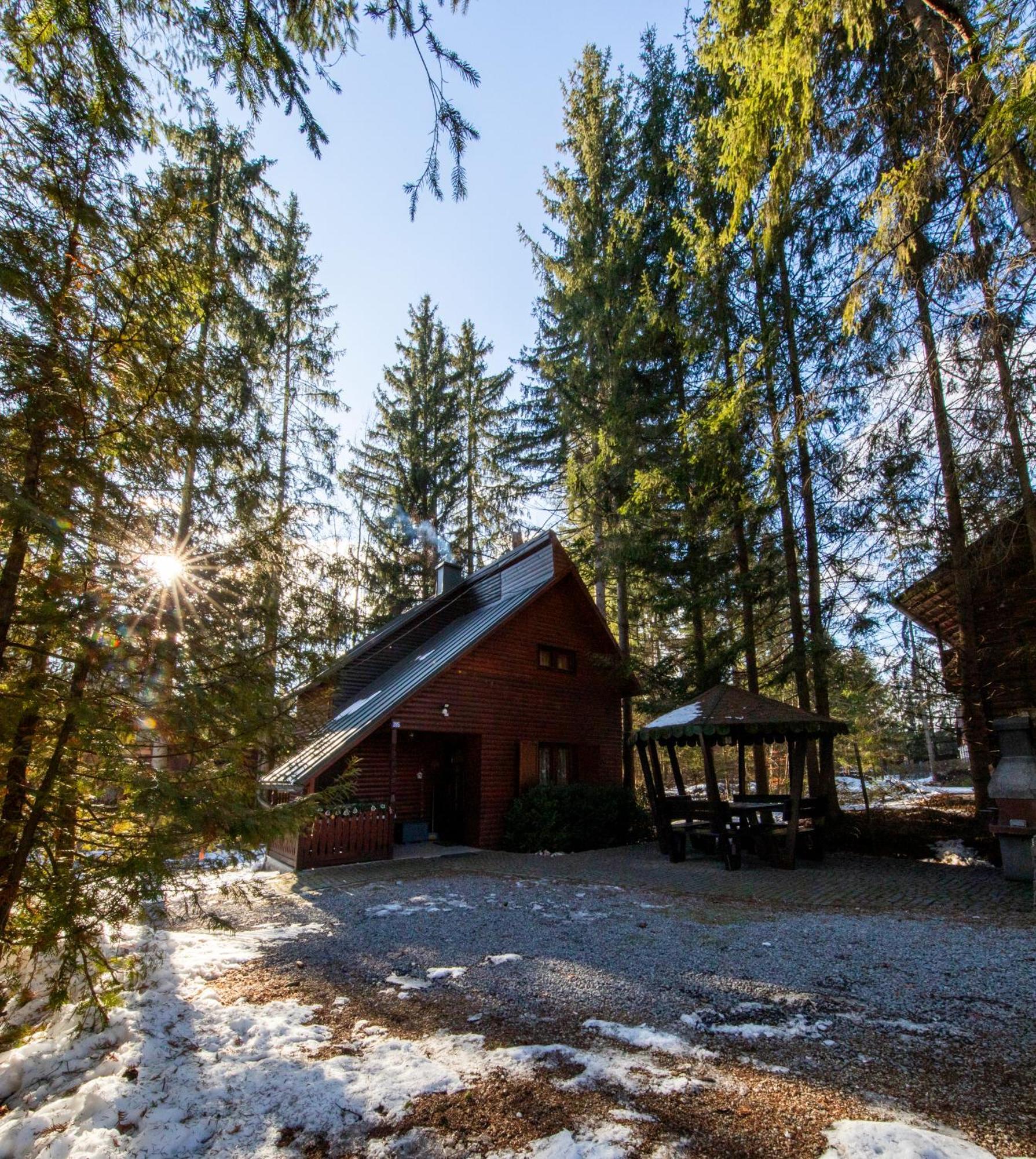 Cabana Adrienne Izvoru Muresului Exterior photo